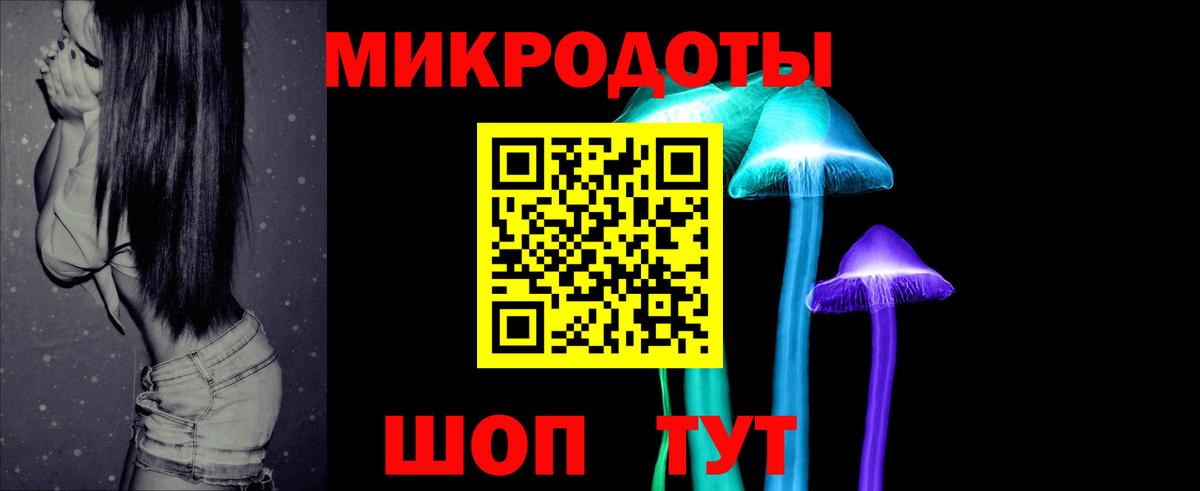 Балтийск  Псилоцибиновые грибы Psilocybe  Галлюциногенные грибы прущие грибы  Вход с VPN 